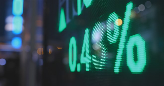 What is the S&P/TSX Index?