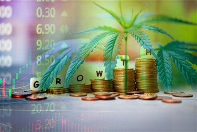 3 Cannabis Penny Stocks To Buy Now 