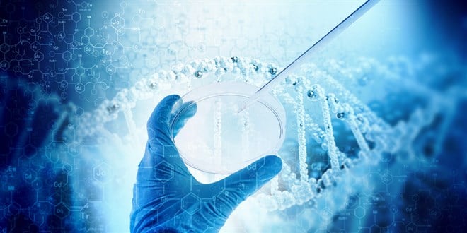 The 3 Best Biotech Stocks to Buy Now