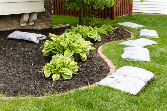 SiteOne Landscape Supply Company Breaks To New Highs