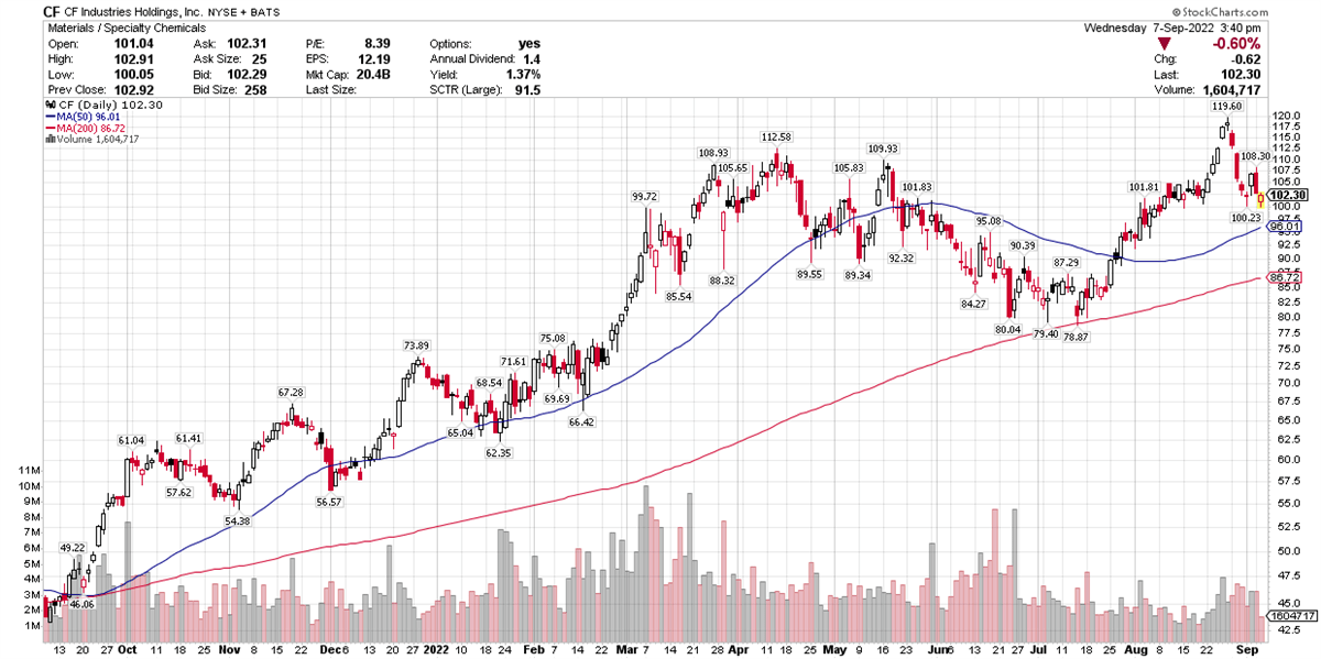 Are Hidden Gems Lurking Among Chemical & Fertilizer Stocks?