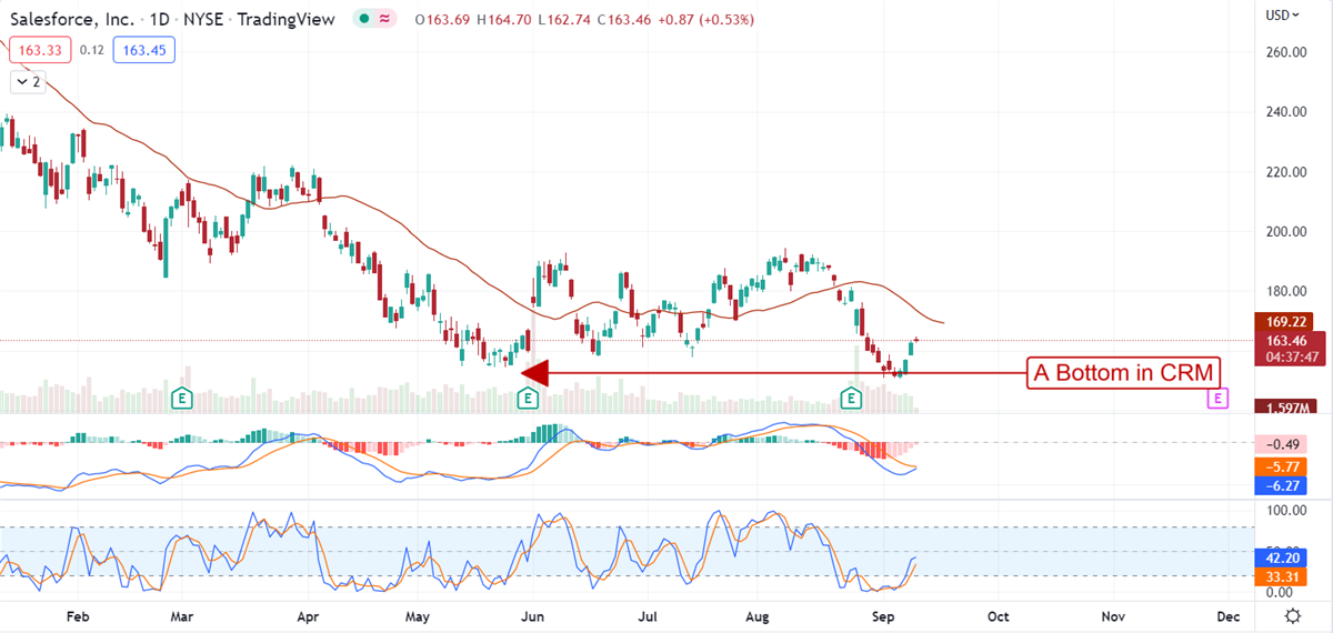 Three Downgraded Must-Have Stocks To Put On Your Watchlist