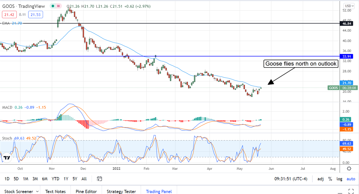 Three (3) Retailers That Defied First Quarter Headwinds 