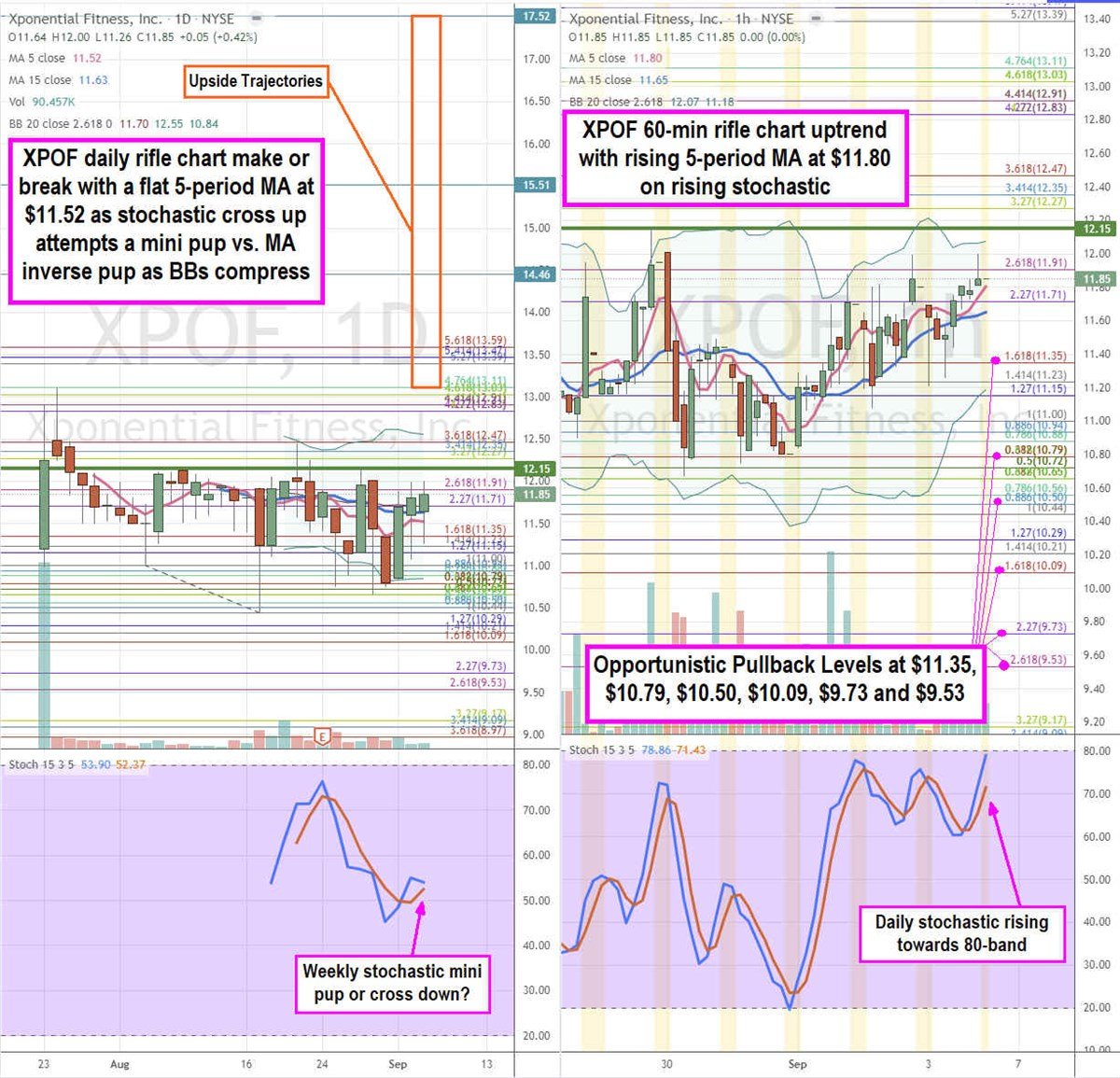 Xponential Fitness Stock is an Elastic Fitness Play