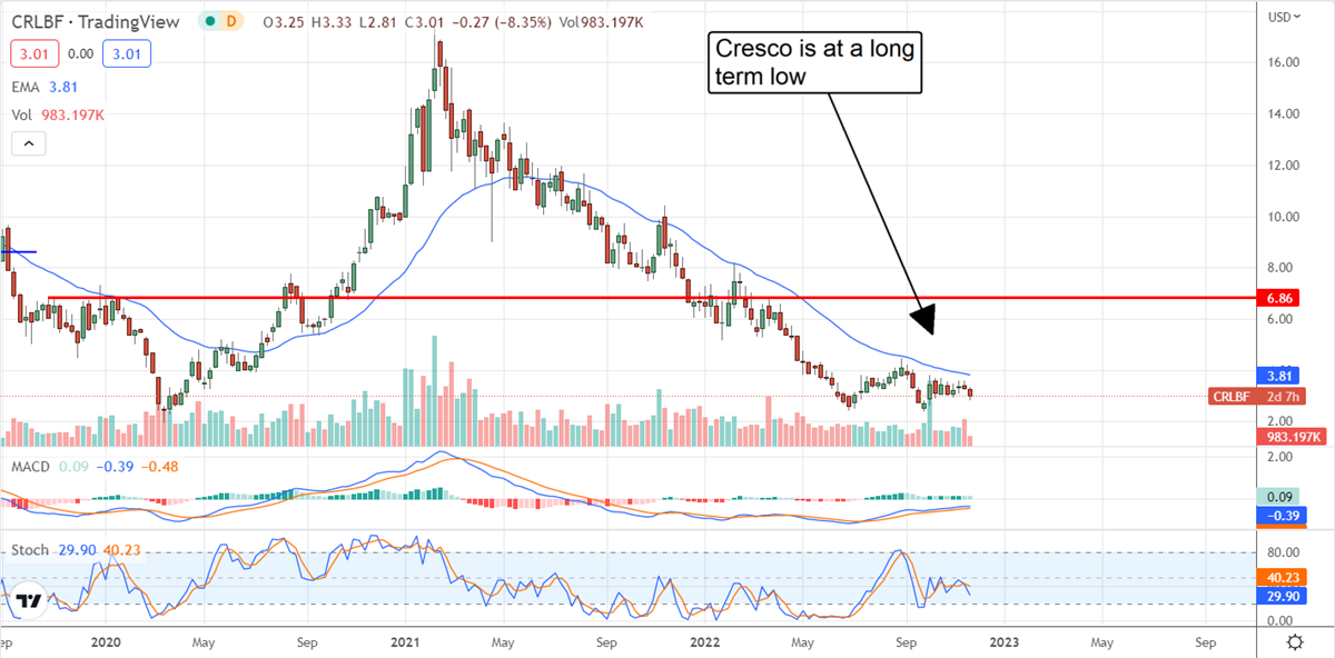 Three CBD Stocks To Dominate A Budding Industry 