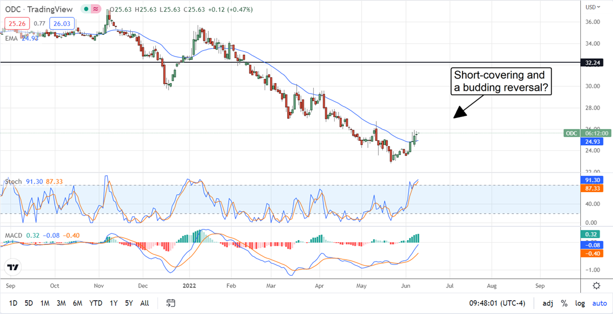 Microcap Oil-Dri Corporation Is A Buy For Income Investors