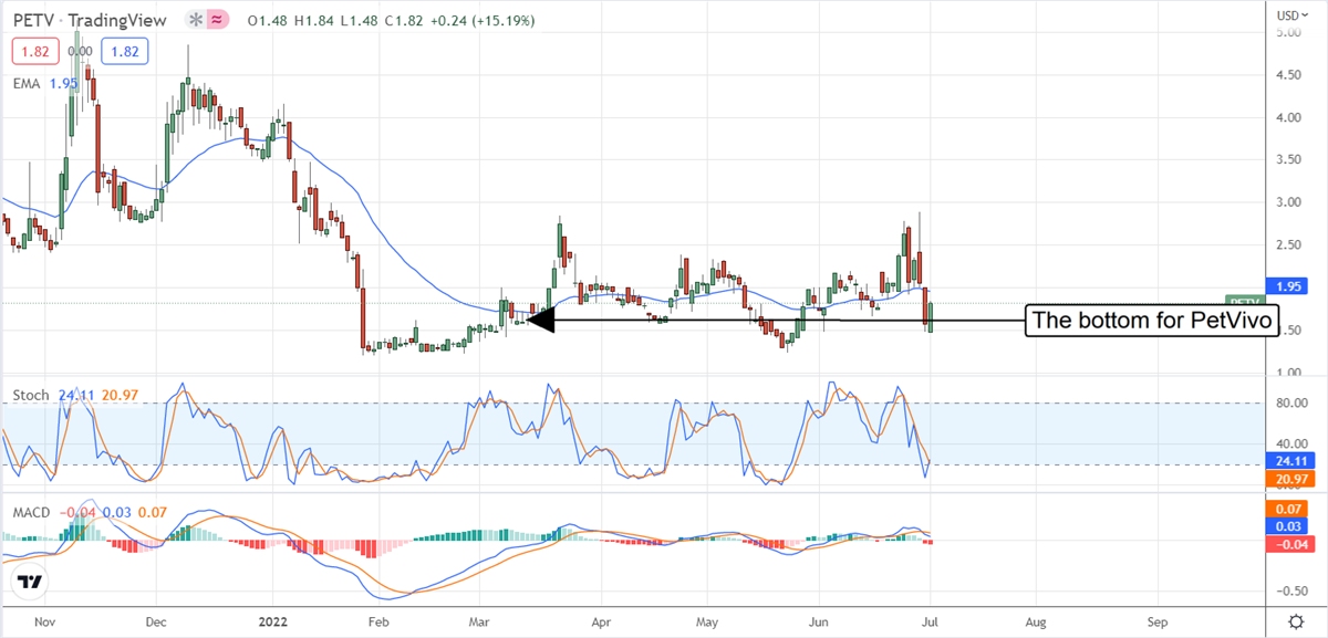 PetVivo Holdings Is A Growth Stock You Might Want To Buy