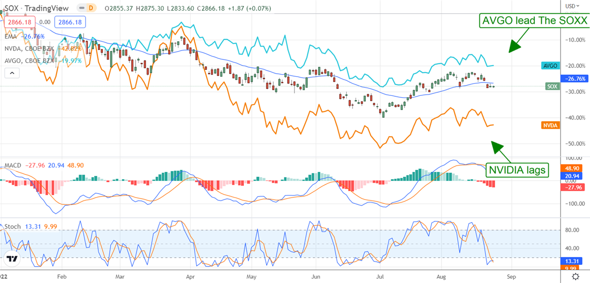 NVIDIA: A Top Choice In Bifurcated Chip Market? 