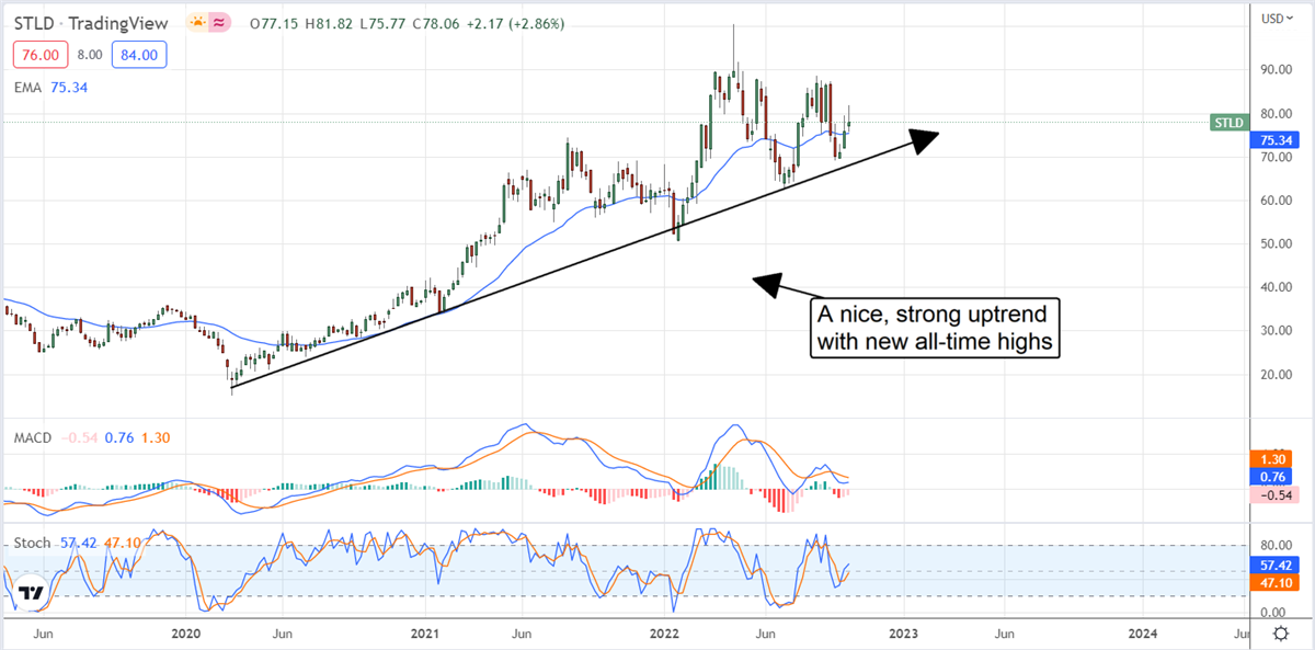 The Institutions May Cap Gains In Steel Dynamics 