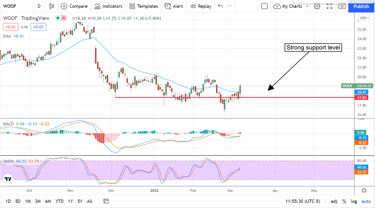 Petco Health+Wellness Is Good For Your Portfolio 