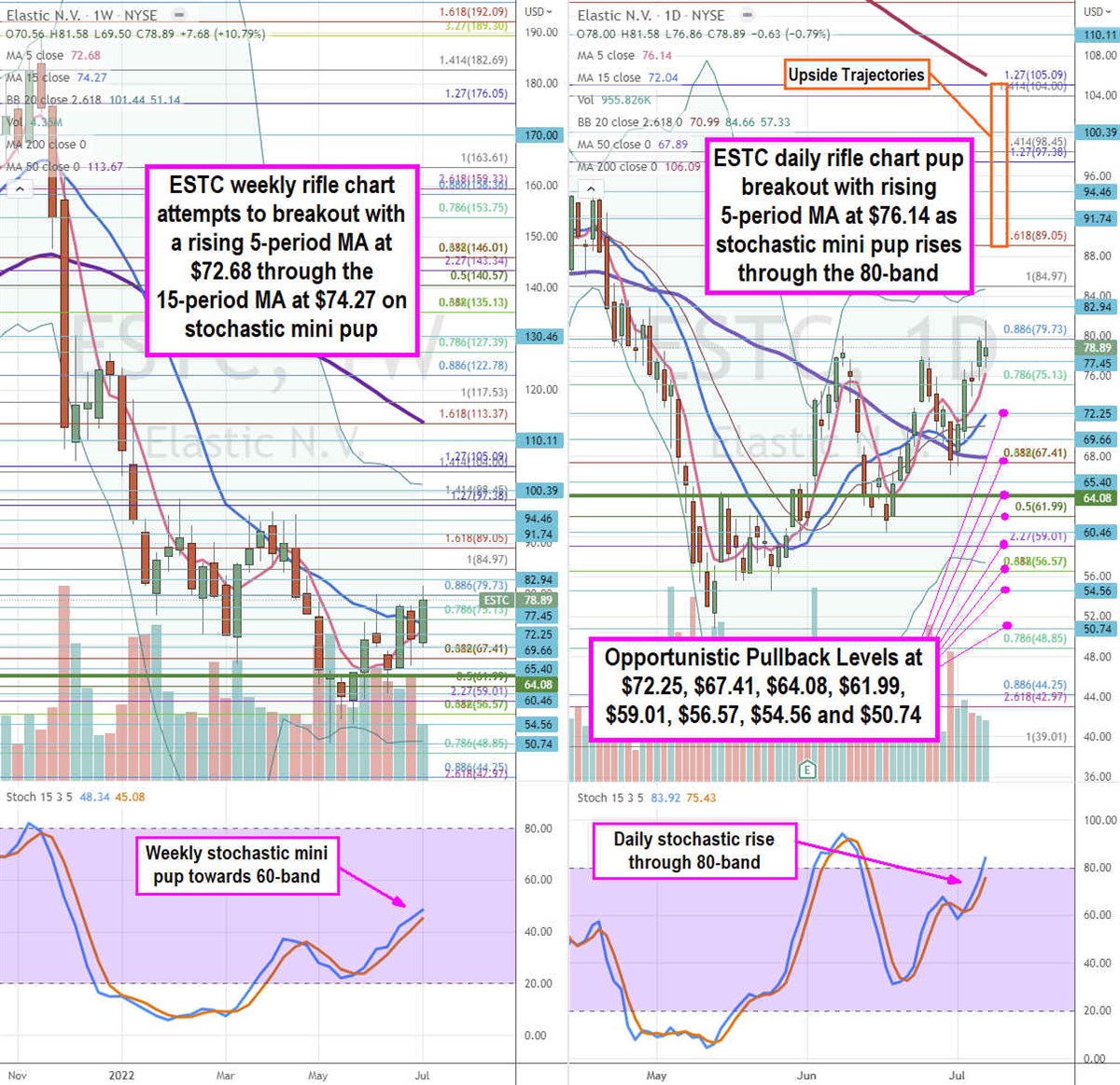 Elastic Stock is a Buoyant Search Play