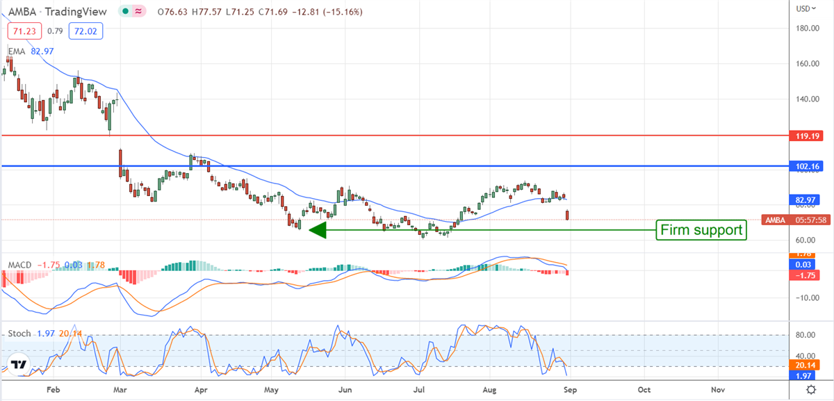 Will The Institutions Buy The Dip In Ambarella Stock? 