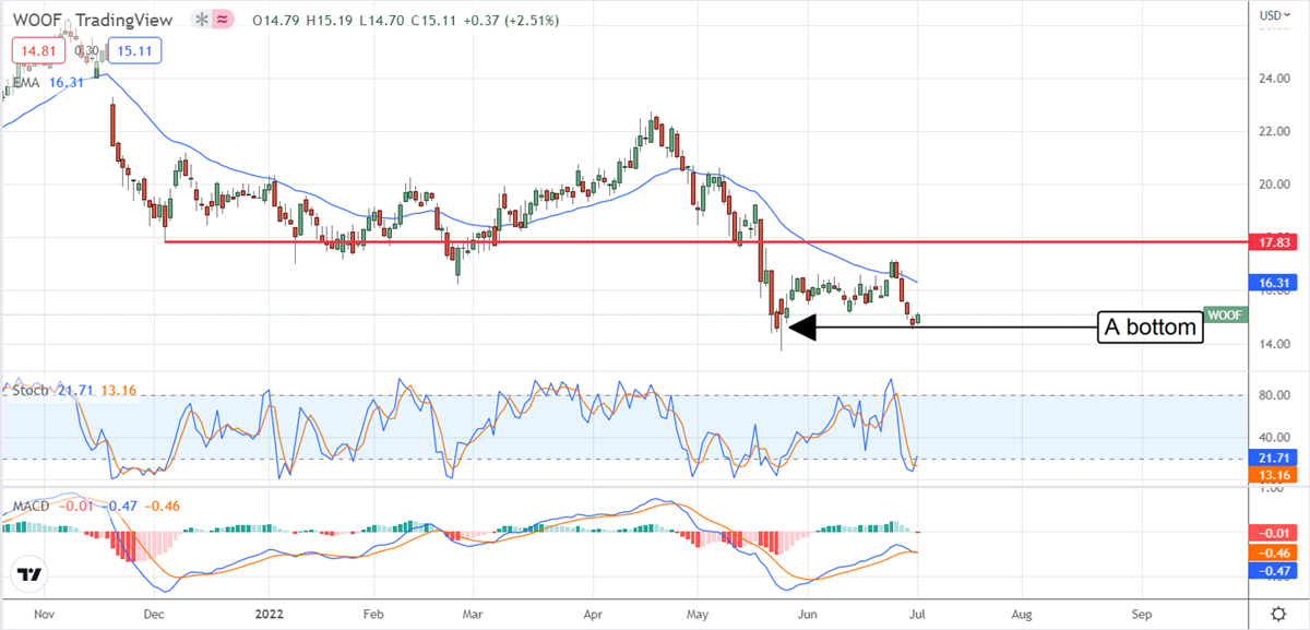 Two Pet Health Stocks To Watch And One To Avoid 