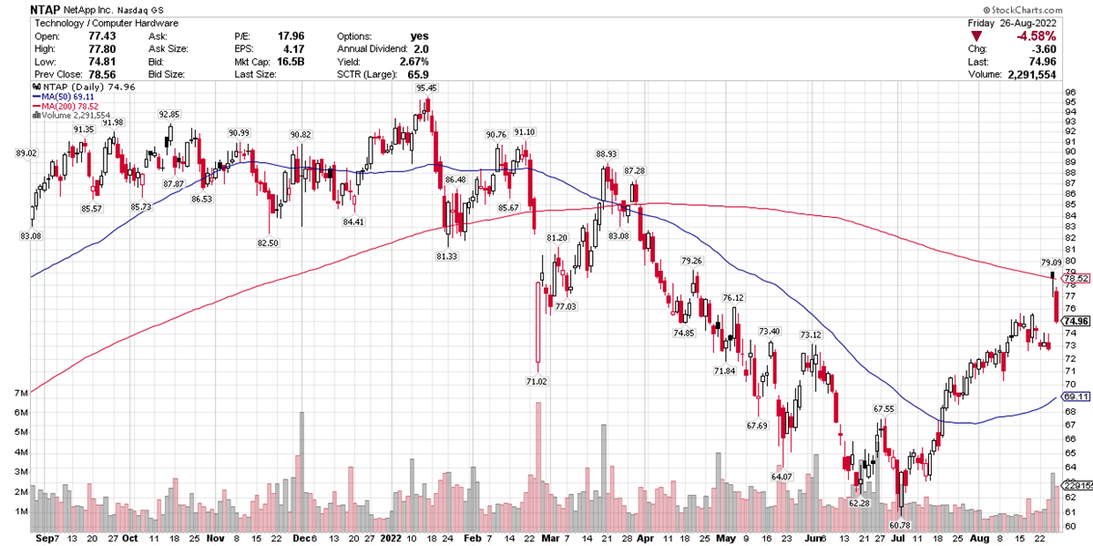 Can NetApp Resume Its Rally After Strong Earnings Guidance? 