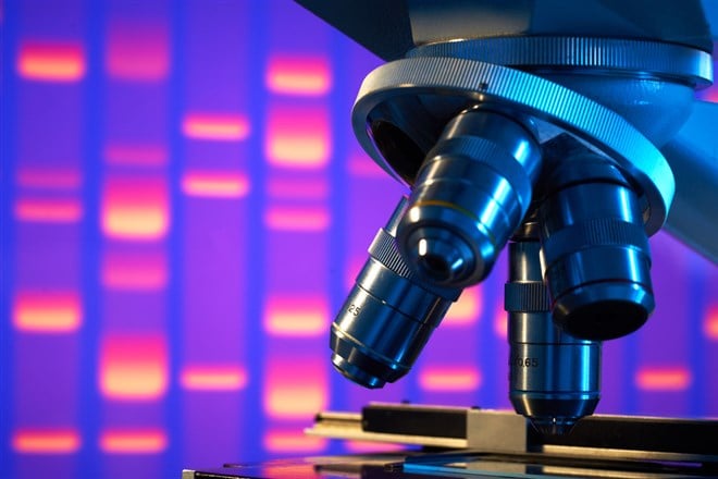 Three Small-Cap Biotech Stocks to Consider Now 