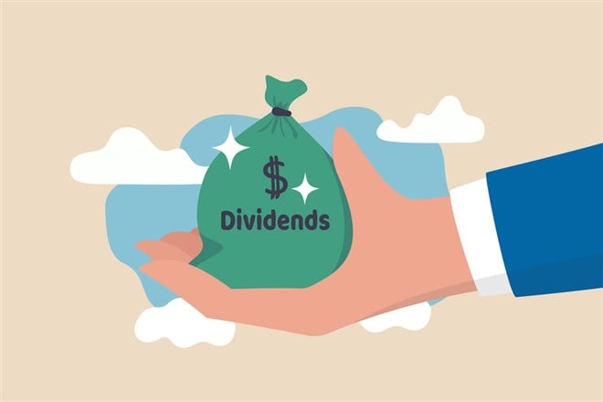 Image for What Are Dividend Stocks? Plus, Dividend Stocks Examples