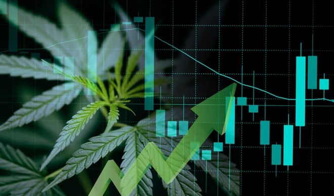 CBD Stocks 