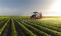 Beyond investing in physical farmland, you can invest in farmland ETFs