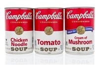 Campbell Soup Company stock price forecast 