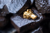 gold nuggets in mining setting