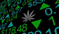 Photo showing a cannabis graphic on a stock ticker, Tilray experiencing growth in cannabis and alcohol segments
