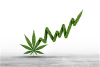 Marijuana stock price gain and rising Cannabis stocks after probable cannabis reclassification