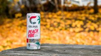Photo of a can of Celsius beverage. Celsius Stock Dips Post-Earnings: A Wake-Up Call?