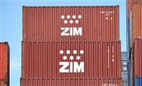 ZIM Shipping Stock Forecast 