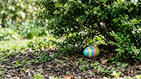 Colorful striped Easter egg resting in garden mulch beneath green shrub, symbolizing seasonal outdoor setting.