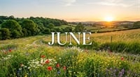 A sunny wildflower landscape with the word "JUNE" centered.
