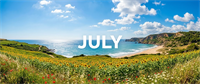 Coastal landscape in July featuring a sunflower field, sandy beach, and blue ocean under a partly cloudy sky.