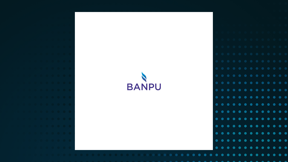 Banpu Public logo