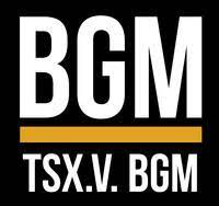 BGM stock logo