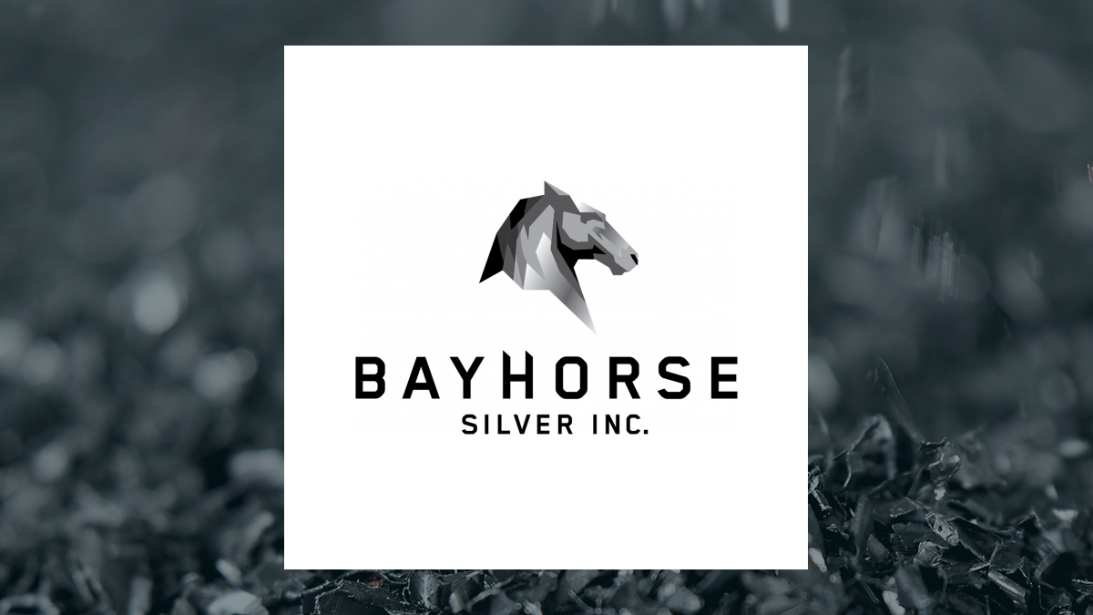 Bayhorse Silver logo