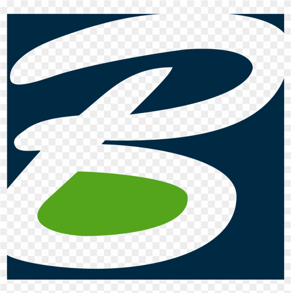 Bentley Systems  logo