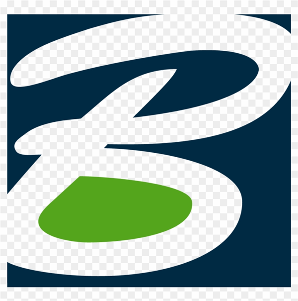 BSY stock logo