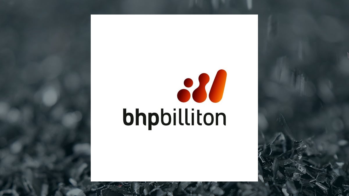 BHP Group logo