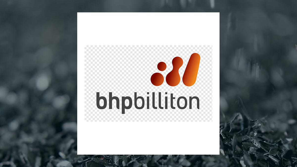 BHP Group logo