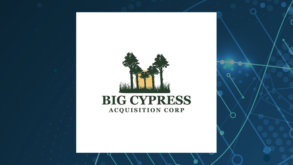 Big Cypress Acquisition logo