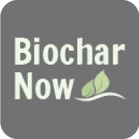 Biochar Now logo