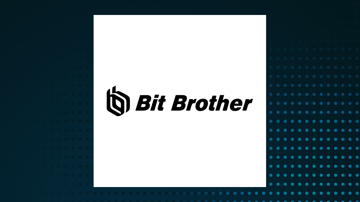 Bit Brother logo