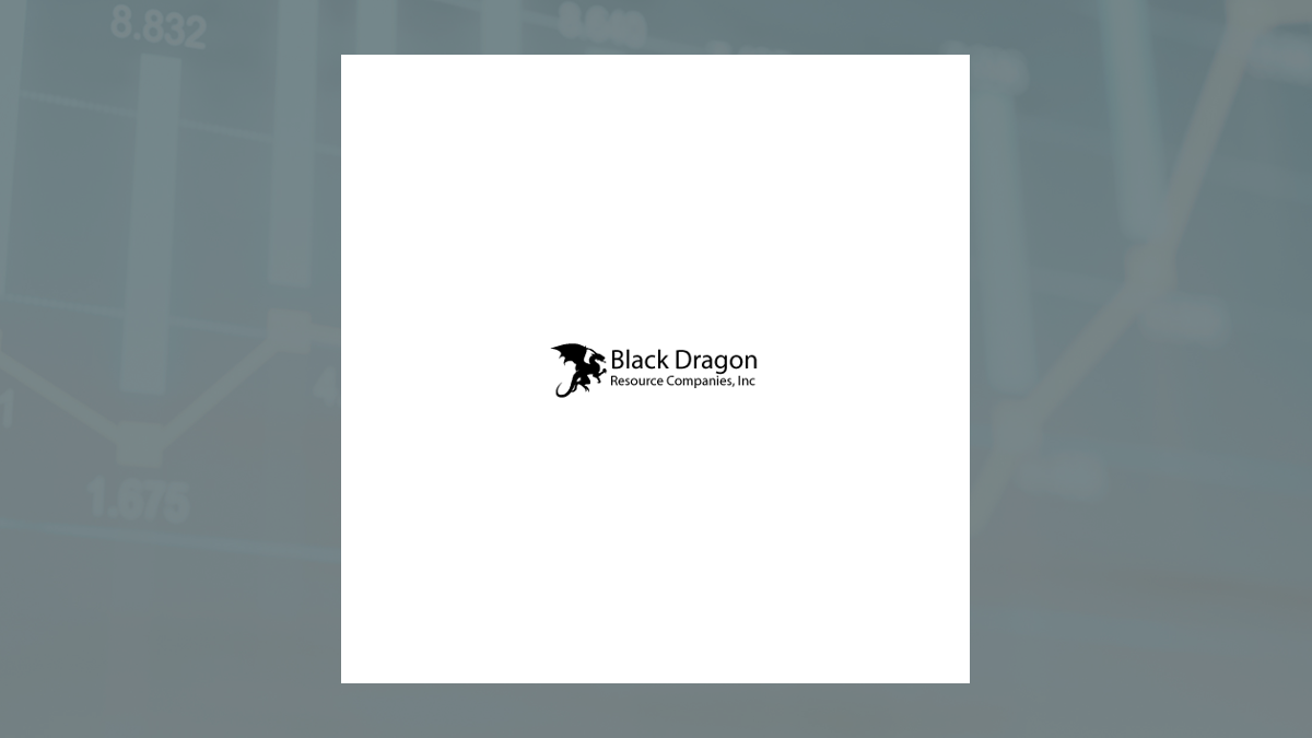 Black Dragon Resource Companies logo