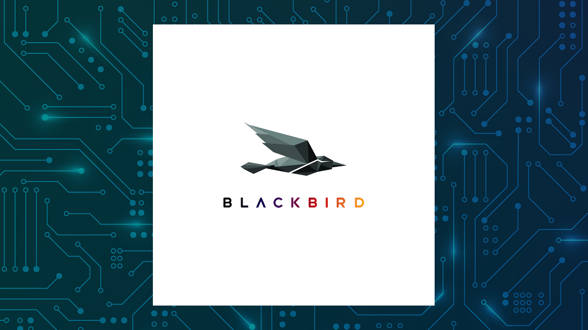 Blackbird logo