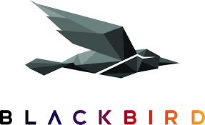 BIRD stock logo