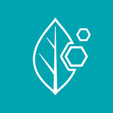 BLMMF stock logo
