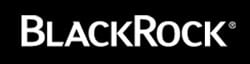 BlackRock Taxable Municipal Bond Trust logo