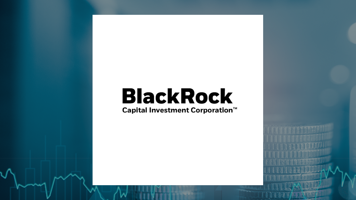 BlackRock Capital Investment logo