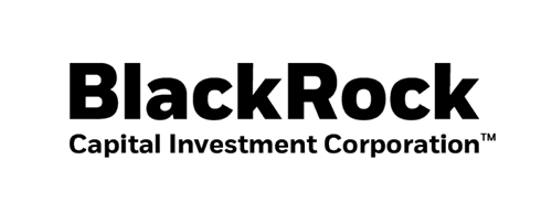 BlackRock Capital Investment logo