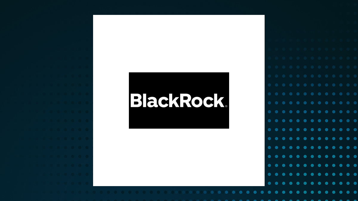 BlackRock Health Sciences Term Trust logo