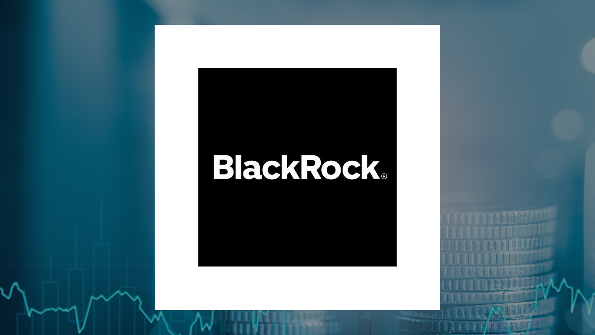 BlackRock MuniAssets Fund logo